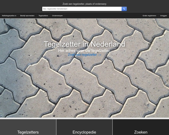 Nette Tegelzetter Logo